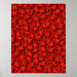Poster Motif d'art naturel Feuille chêne