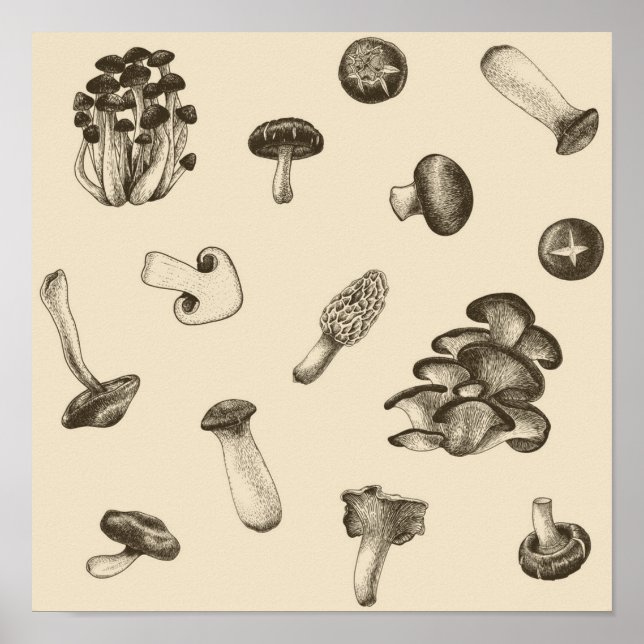 Poster Motif de champignons (Devant)