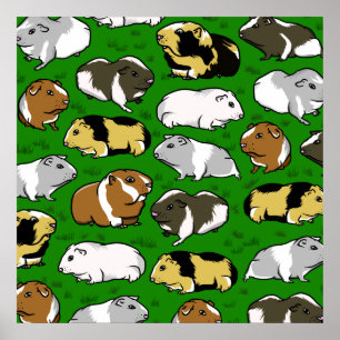 Poster Motif de cochons d'Inde
