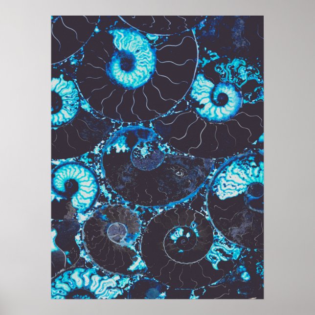 Poster Motif de coque Nautilus noir bleu, géométrie effra (Devant)