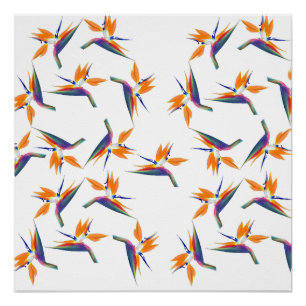 Poster Motif de fleur d'oiseau de paradis