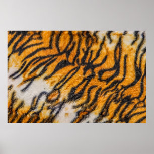 Poster Motif de fond à motif tigre, tigre, abstrait