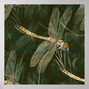Poster Motif de libellules majestueux