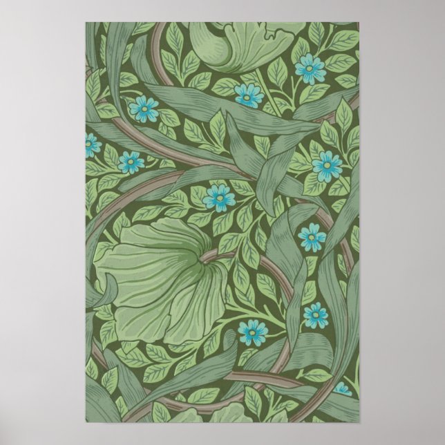 Poster Motif de papier peint, exemple avec Forget-Me-Nots (Devant)