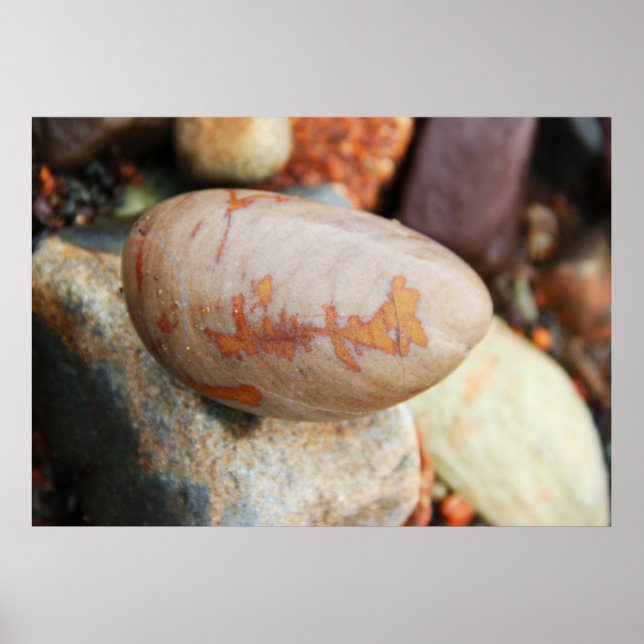 Poster Motif de roche - Fundy Coast (Devant)