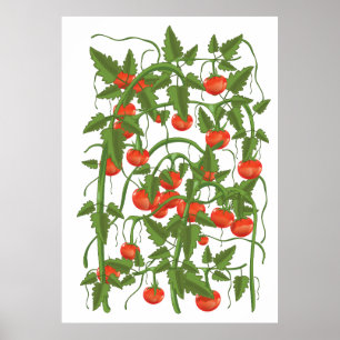 Poster Motif de tomates
