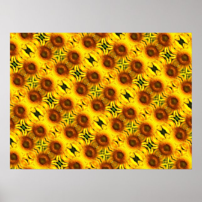 Poster Motif de tournesol jaune géant (Devant)