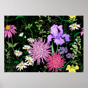 Poster Motif d'été sans couture. Chamomille des fleurs sa