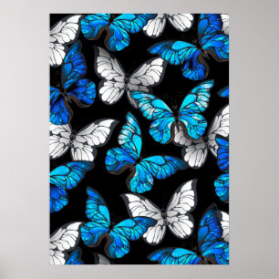 Poster Motif sans couleur foncée avec papillons bleus Mor