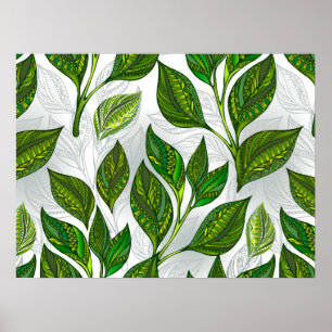 Poster Motif sans couture avec Feuilles de thé vert