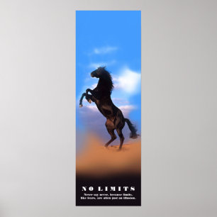 Poster Motivation Cheval Pas De Limites Pas D'Oeuvre De P