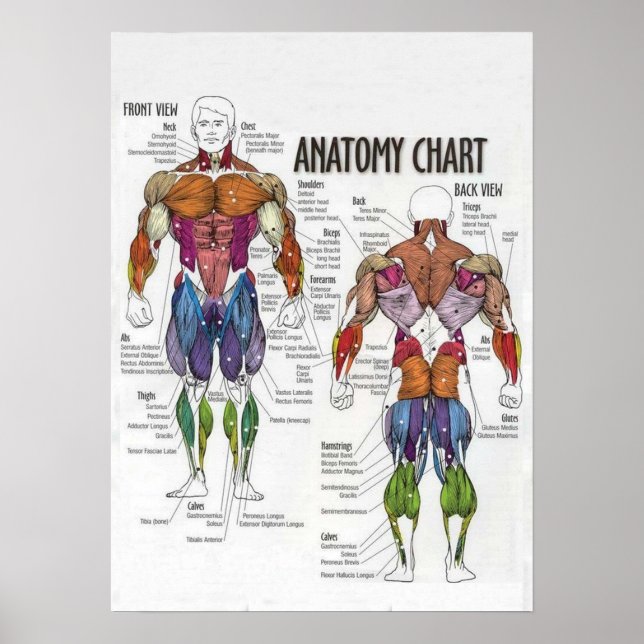 Poster Motivation de l'entraînement (Devant)