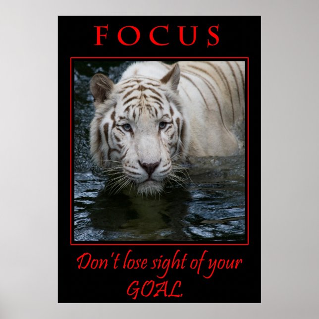 Poster Motivation Focus (Devant)