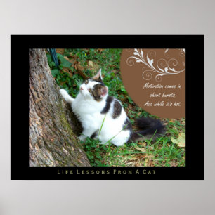 Poster Motivation Leçons de vie d'un chat Art d'impressio