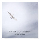 Motivation Seagull Carpe Diem French Fries Mini