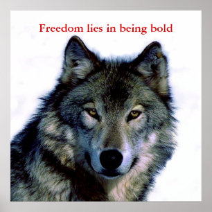 Poster Motivational Courage Wolf Eyes