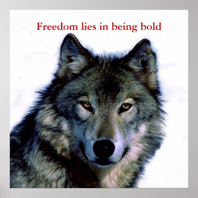 Poster Motivational Courage Wolf Eyes (Devant)