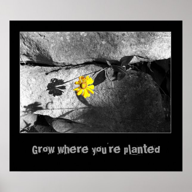 Poster Motivational "Growth" (Devant)