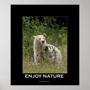 Poster Motivationnel de l'ours Kermode