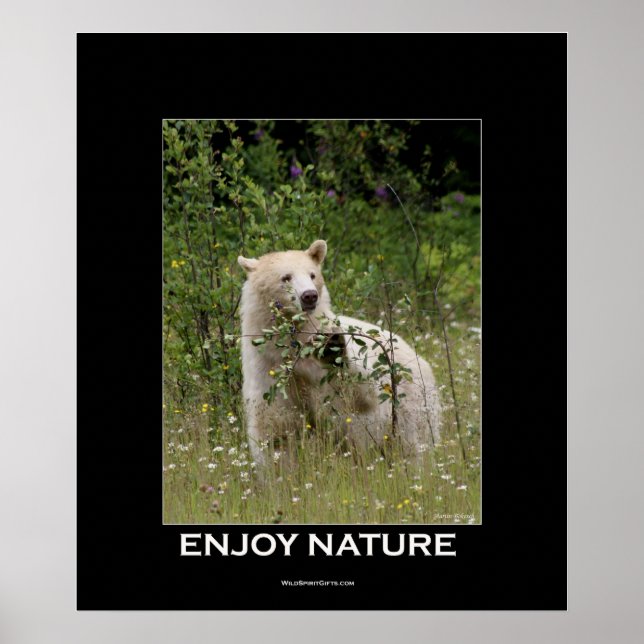 Poster Motivationnel de l'ours Kermode (Devant)