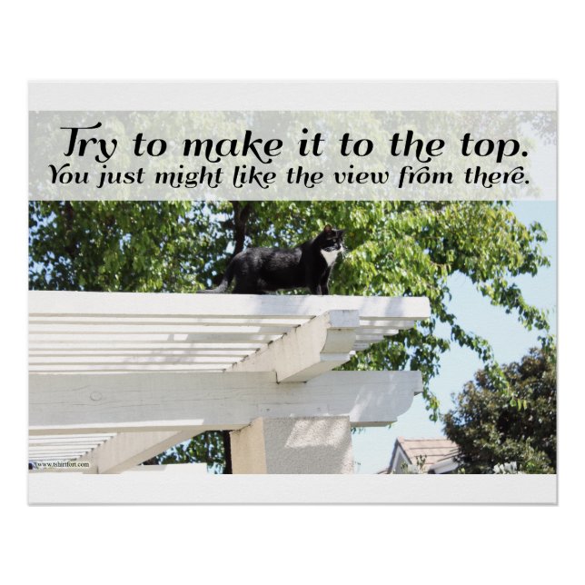 Poster Motivationnel Faites-le en haut Chat dire (Devant)