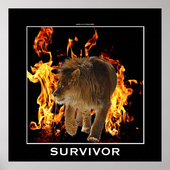 Poster motivationnel Flamme Fire & Lion SURVIVOR (Devant)