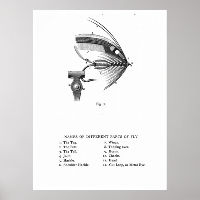 Poster mouche de pêche (Devant)