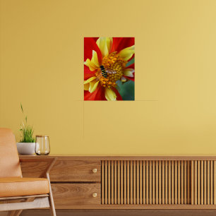Poster Mouche volante sur Dahlia à collerette photographi