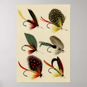 Poster Mouches de basse 270 à 275 Vintage