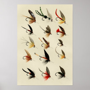 Poster Mouches de truite 174 à 188 Vintage