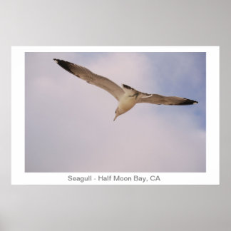 Poster Mouette