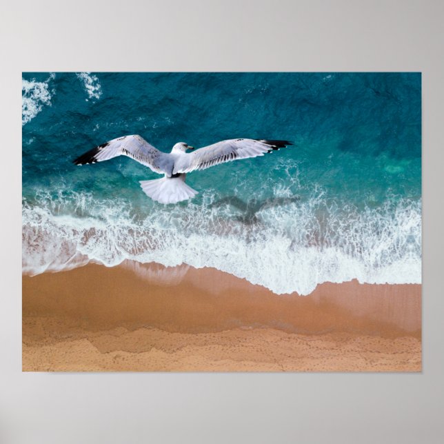 Poster Mouette au-dessus de la mer (Devant)