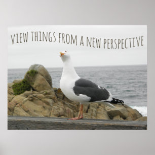 Poster Mouette de nouvelle perspective