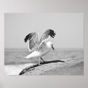 Poster Mouette marine sur la plage Rochers noir et blanc 
