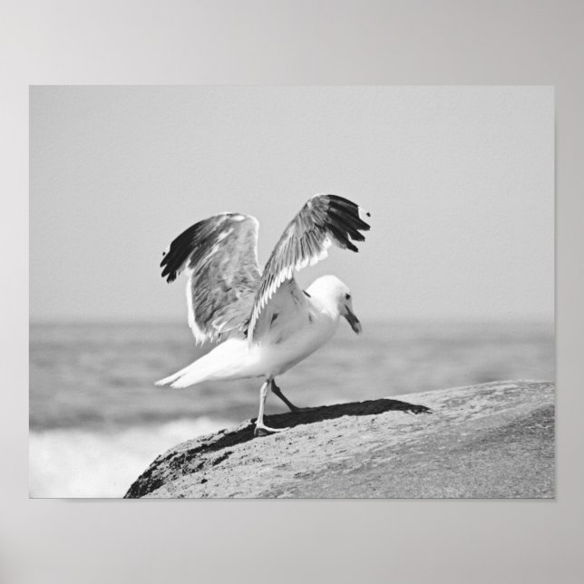 Poster Mouette marine sur la plage Rochers noir et blanc  (Devant)