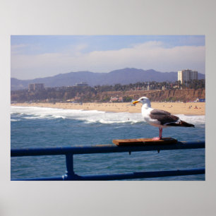 Poster Mouette par Père Noël Monica Beach