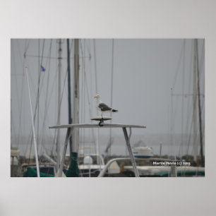 Poster Mouette sur un bateau