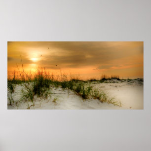 Poster Mouettes au lever de soleil