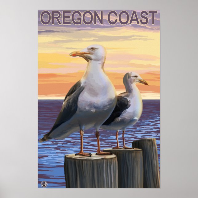 Poster Mouettes de la côte de l'Oregon (Devant)