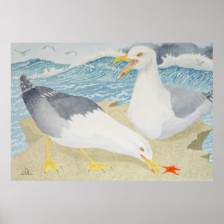 Poster Mouettes reposant sur une falaise