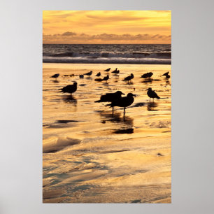 Poster Mouettes Sur La Plage Au Coucher Du Soleil
