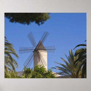 Poster Moulin à vent, Palma, Mallorca, Espagne