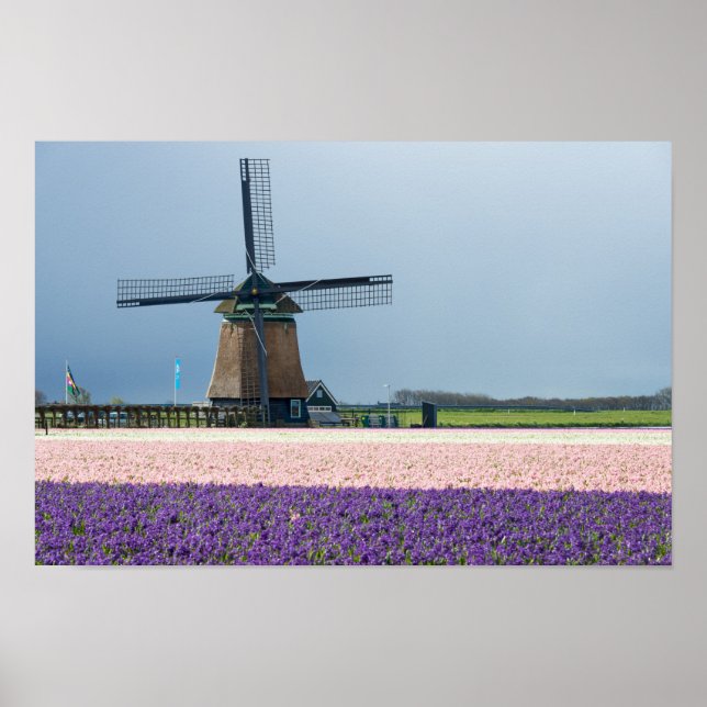 Poster Moulin à vent traditionnel aux fleurs roses et vio (Devant)
