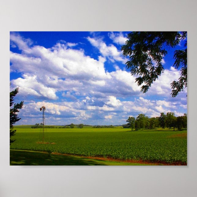 Poster Moulin à vin oublié (Devant)