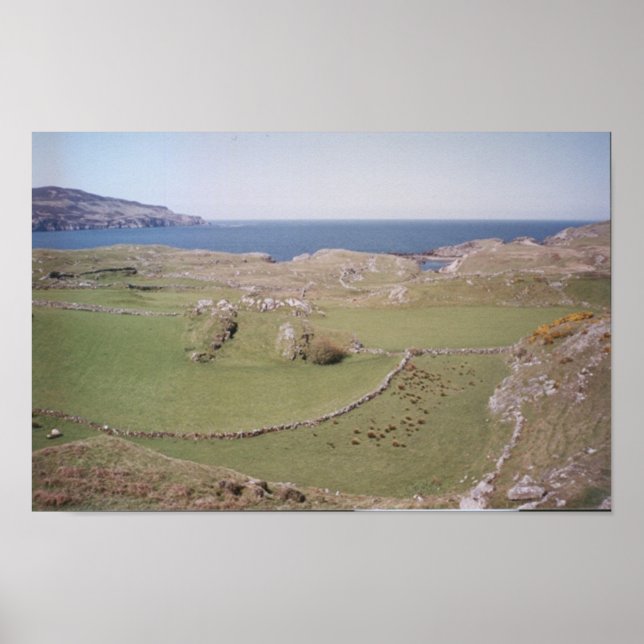 Poster Mountain Field, West Donegal (Devant)