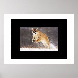 Poster-Mountain Lion Poster
