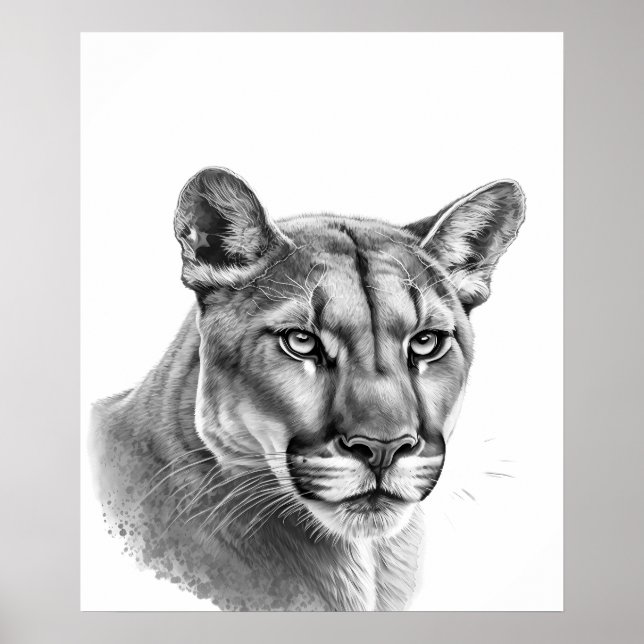 Poster Mountain Lion Puma Big Cat Black White (Devant)