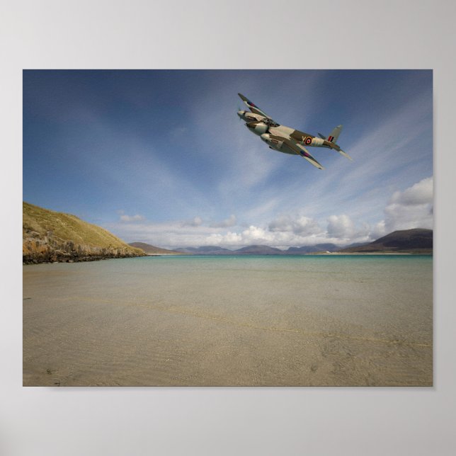 Poster Moustique solitaire" (Devant)