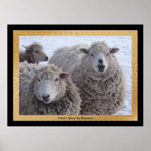 Poster Mouton d'hiver