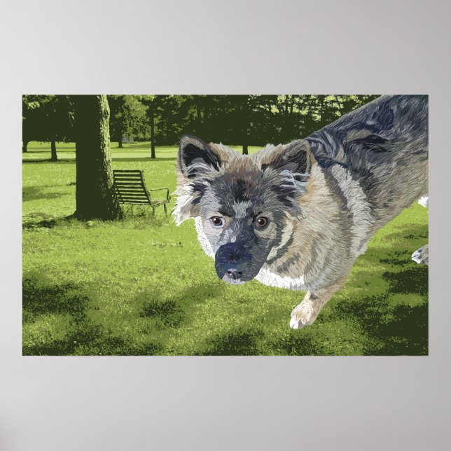Poster Mouton moche (Devant)
